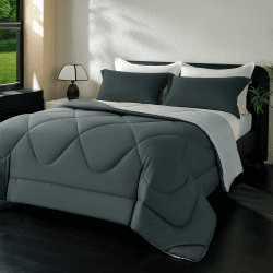 beeweed Bettdecke 240x260 Ganzjahresdecke Wende-Steppdecke Oeko-TEX Zertifiziert 300GSM 4 Jahreszeiten Bettdecken Duvet 240x260cm Weiche Mikrofaser Schlafdecke mit Kissenbezüge 240 x 260 cm Kohlen Grau/Hellgrau Angebot bei HelloDeals