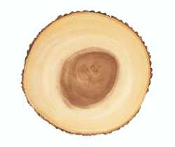 Artesà Käsebrett aus Holz, Servierplatte für Kuchen, Desserts, Häppchen und Buffets, 37 x 29 cm, Brown 35 cm (13.8 in) Angebot bei HelloDeals