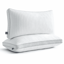 BedStory kopfkissen 40x80 mit abziehbarem Bezug,Verstellbare Faserfüllung Hotel Kissen mit reißverschluss, 2er Set Kissen aus 950g x 2 mikrofaser, Waschbares nackenkissen für Allergiker 40x80cm Angebot bei HelloDeals
