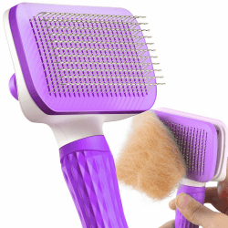 ACE2ACE Haustier Hundebürste Katzenbürste, Haustier Bürsten, Hundebürste Katzenbürste für Langhaar und Kurzhaar, Sauberes Haustierhaar von der Bürste mit Einem Knopf,Violett Angebot bei HelloDeals