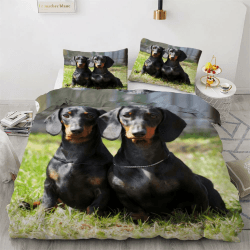 ROUSKI Bettwäsche Dackel 135x200 cm 2teilig 100% Mikrofaser Kinderbettwäsche Tiere Hunde Wendebettwäsche mit Reißverschluss 3D Motiv Zimmer Dekor Bettwäsche-Sets mit Kissenbezüge 80x80 Color27 2teilig：135x200cmx1+80x80cmx1 Angebot bei HelloDeals