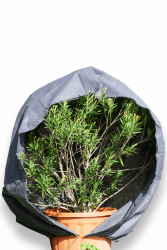schlauchmeister 24 ... wir leiten's durch ... Premium XXL Winterschutz für Pflanzen grau Kübelpflanzen Winterschutzcover draußen Haube 240 x 300 cm Reißverschluss Zugband Pflanzenschutzhaube Angebot bei HelloDeals