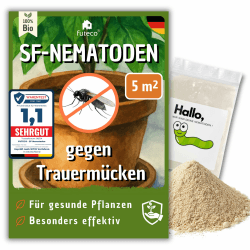 SF-Nematoden (5 Mio.) gegen Trauermücken – für 50 Pflanzen / 5m² Fläche – zum einfachen gießen 50 Pflanzen - 5 m² Angebot bei HelloDeals