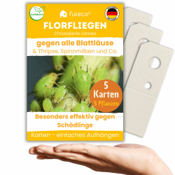 Florfliegenlarven gegen Blattläuse, Spinnmilben, Thripse & Co. - Karten zum einfachen Aufhängen - 5 Karten für 5 Pflanzen - starke Wirkung bei Gemüse-, Zier- & weiteren Pflanzen 5 Pflanzen - 5 Karten Angebot bei HelloDeals