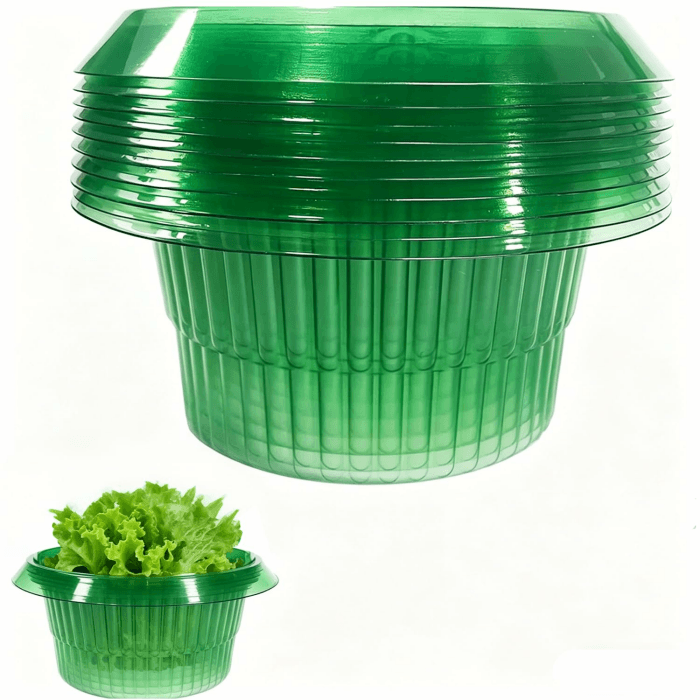 10 Stück schneckenkragen aus Plastik,Schneckenschutz, Schneckenabwehr schützt Salat/Pflanzglocke Grün-10pcs Angebot bei HelloDeals