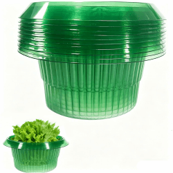 10 Stück schneckenkragen aus Plastik,Schneckenschutz, Schneckenabwehr schützt Salat/Pflanzglocke Grün-10pcs Angebot bei HelloDeals