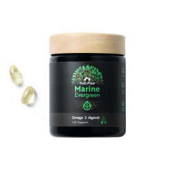 NatuRise® Omega 3 Vegan 120 Kapseln – 1440mg Algenöl pro Tag davon 869mg Omega-3 (DHA, EPA & DPA) – Hochdosiert – Laborgeprüft – Triglycerid-Form – UV-geschützt – Fischöl Alternative Angebot bei HelloDeals