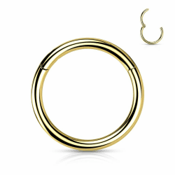 Nasenpiercing Ring Clicker aus Titan – Septum Piercing Helix Conch Tragus Nostril – Nasenring Segmentring Scharnier – Viele Größen – Gold, Silber und weitere Farben Gold 0,8 mm Stabstärke / 6 mm Durchmesser Angebot bei HelloDeals