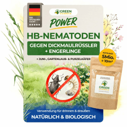 GREEN GUARDIA Power HB-Nematoden gegen Dickmaulrüssler & Engerlinge - 5 Mio. (10m²) -biologische Schädlingsbekämpfung, umweltfreundlich, chemiefrei. Einfach anzuwenden & Sicher für Mensch & Tier Angebot bei HelloDeals