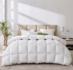Homyrium Daunendecke 220x240 Ganzjahres Bettdecke 240x220 Daunen 4 Jahreszeiten Bettdecken Daunenbettdecke Federbetten 220x240 Daunen Steppdecke, Füllgewicht: 2100gr Oeko-TEX und RDS Zertifiziert 220x240 cm Ganzjahresdecke-weiß Angebot bei HelloDeals
