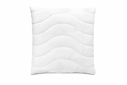 Traumnacht Komfort Kopfkissen mit Bezug aus reiner Baumwolle, Öko-Tex zertifiziertes Kopfkissen mit Reißverschluss, 80x80 cm, entwickelt in Deutschland 80 x 80 cm 1 Angebot bei HelloDeals