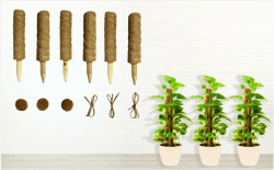 Moosstange für Kletterpflanze, Monstera, Totemstange, Moosstab für Zimmerpflanzen, Zug, Topfpflanze, Aufwärtspflanzenstange mit Gartenbinder / 850 6 Stück, 30,5 Cm Angebot bei HelloDeals