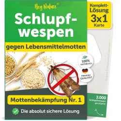 Hey Nature® Schlupfwespen gegen Lebensmittelmotten, 3 Karten (1 Karte à 3 Lieferungen). Effektiv Lebensmittelmotten bekämpfen mit Schlupfwespen gegen Motten. Alternativ zu Mottenkugeln & Mottenspray Angebot bei HelloDeals