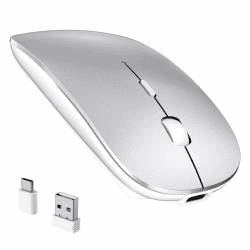 RaceGT Maus Kabellos USB-C & USB-A, Mouse Aufladbar 2,4GHz Leise klick 3 Adjustable DPI Level mit 4 Tasten, mit EIN Aus Schalter für Computer Laptop PC MacbookPro/Air Chromebook USB-C & USB-A Silber Angebot bei HelloDeals