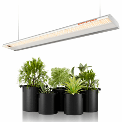 LED Pflanzenlampe Spider Farmer SF600 LED Grow Lampe Vollspektrum Grow Light Wachstumslampe für Zimmerpflanzen mit Reflektor Pflanzenleuchte Pflanzenlicht für Innen Gartenarbeit Gemüse Blume 384 LEDs Angebot bei HelloDeals