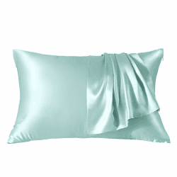 THXSILK SeidenKissenbezug 40x80-100% Maulbeerseide für Haar und Haut - Hypoallergen mit Versteckter Reißverschluss - 22 Momme Doppelseitige Seide 1 Stück Hellblau Hellblau 40x80cm Angebot bei HelloDeals