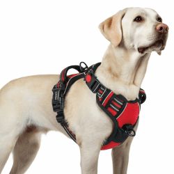 rabbitgoo Hundegeschirr Grosse Hunde, Verstellbare Geschirr Hund ohne Zug & Würgen, Anti Zug Hundegeschirr mit Griff, weich Gepolsterte Reflektierende Brustgeschirr, Rot L L (1er Pack) Rot Angebot bei HelloDeals