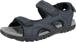 Geox 41 EU Navy Dk Grey Angebot bei HelloDeals
