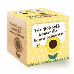 Celebrations Ecocube, Sonnenblume Bio Samen, Holzwürfel Mit Lasergravur «Für Dich Soll Immer Die Sonne Scheinen», Nachhaltige Geschenkidee, Anzuchtset, Made in Austria, Green Single Angebot bei HelloDeals