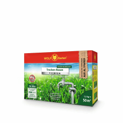 WOLF-Garten Trocken-Rasen PREMIUM L-TP 50 (für 50 m², hohe Dichte mit ca. 70.000 Trieben/m2, sehr gute Hitze- und Trockenverträglichkeit, widerstandsfähig gegen Frost, 1,5 kg Faltschachtel) 3824630 50 m² Single Angebot bei HelloDeals