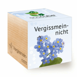 Feel Green Ecocube Vergissmeinnicht, Nachhaltige Geschenkidee (100% Eco Friendly), Grow Your Own/Anzuchtset, Pflanzen Im Holzwürfel, Made in Austria BLUMEN Vergissmeinnicht Angebot bei HelloDeals