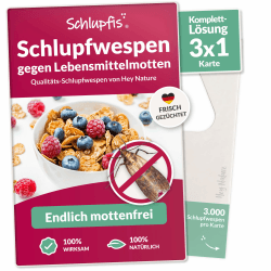 Hey Nature Schlupfwespen gegen Lebensmittelmotten - 3 Karten (1 Karte à 3 Lieferungen) - Effektiv Lebensmittel Motten bekämpfen - Alternative zu Lebensmittelmotten Falle, Mottenkugeln & Mottenspray Angebot bei HelloDeals