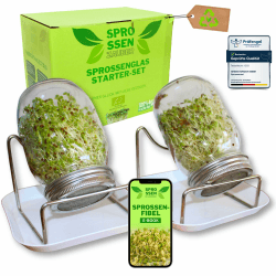 Sprossenzauber® Sprossenglas 2er Set 500ml inkl. E-Book – Edelstahl-Deckel & Auffangschale – Sprossen selber ziehen – Keimglas für Brokkoli, Alfalfa, Kresse – Einsteiger-Set für frische Microgreens Angebot bei HelloDeals