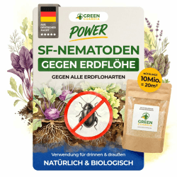 GREEN GUARDIA Super SF-Nematoden gegen Erdflöhe – 10 Mio. für 20m² - Biologisches Mittel zur effektiven Ameisen Bekämpfung – Umweltfreundlich, chemiefrei, einfache Anwendung Angebot bei HelloDeals