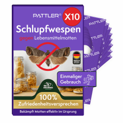 PATTLER® Schlupfwespen gegen Lebensmittelmotten – 10 Karten à 1 Lieferung – Lebensmittelmotten bekämpfen ohne Chemie – Alternative zur Mottenfalle, Mottenspray & Pheromonfalle 1 Lieferung 10 Karte Angebot bei HelloDeals