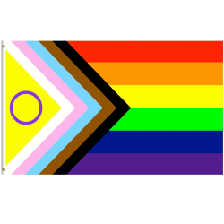 MOGADEE® Progress Pride Flag, Regenbogen Flagge, LGBTQ Flagge, 150x90cm, The Gay Flag mit 2 Messingösen, Kann Draußen Verwendet Werden, Weatherproof Progress Pride Ⅱ Angebot bei HelloDeals
