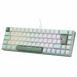 RK ROYAL KLUDGE C68 DE Hall Effekt Mechanische Gaming Tastatur, 65% HE-Magnetschalter, RGB-Kabel Hot-Swap-fähig, einstellbare Schnellfeuerfunktion, 8K-Abfragerate, Pro Web Driver Mac&Win,QWERTZ Deutsches QWERTZ Angebot bei HelloDeals