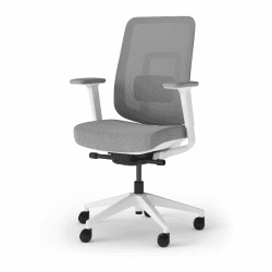 Ergotopia PureBack ergonomischer Bürostuhl – Schreibtischstuhl ergonomisch mit 4D-Armlehnen & Synchronmechanik – Bürostuhl ergonomisch Testsieger – Bequemer Büro Drehstuhl für gesundes Sitzen Grau ohne Kopfstütze Angebot bei HelloDeals