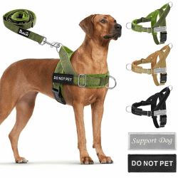 Eyein Hundegeschirr für große Hunde mit Leine, Anti-Zug Geschirr weich gepolstert mit 2 Leinenclips, reflektierend & verstellbar Brustgeschirr für Spaziergänge Training (Grün, L) L Grün Angebot bei HelloDeals