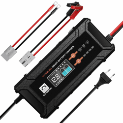 ECO-WORTHY 12V/24V 20A LiFePO4 Batterieladegerät mit Multi-Current Optionen 5A/10A/15A/20A,automatische LiFePO4 Blei-Säure Batterie Spannungserkennung für Auto LKW Motorrad Rasenmäher Angebot bei HelloDeals