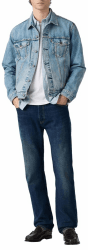 Levi's Herren Jeanshose 501 Original mit Knopfleiste, Straight Fit 33W / 32L Terra Linda Angebot bei HelloDeals
