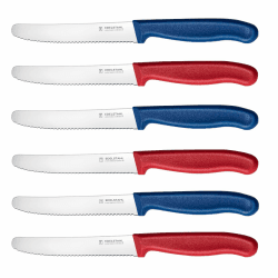 Frühstücksmesser,6 Stück Brotmesser aus Edelstahl,Messer Set | Scharfe Edelstahl Klinge 11cm,Wellenschliff,Rostbeständig,Ergonomische PP Kunststoffgriff Tomatenmesser,Rot&Blau Rot&Blau 6 Stück Angebot bei HelloDeals