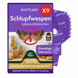 PATTLER® Schlupfwespen gegen Lebensmittelmotten – 9 Karten à 1 Lieferung – Lebensmittelmotten bekämpfen ohne Chemie – Alternative zur Mottenfalle, Mottenspray & Pheromonfalle 1 Lieferung 9 Karte Angebot bei HelloDeals