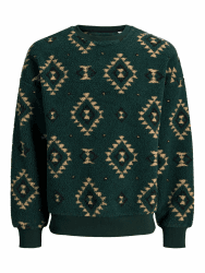 Jack & Jones Herren Jack & Jones Male Fleece Sweatshirt Fleece Sweatshirt Joreddie Teddy Crew Neck T25 (1er Pack) L Pine Grove Angebot bei HelloDeals