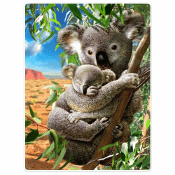 Zomer Kuscheldecke,Koala,150x200cm,Grau,Flauschige Decke Mikrofaser Fleecedecke Weiche & Warme Sofadecke/Couchdecke Koala Grau 150 x 200 cm Angebot bei HelloDeals