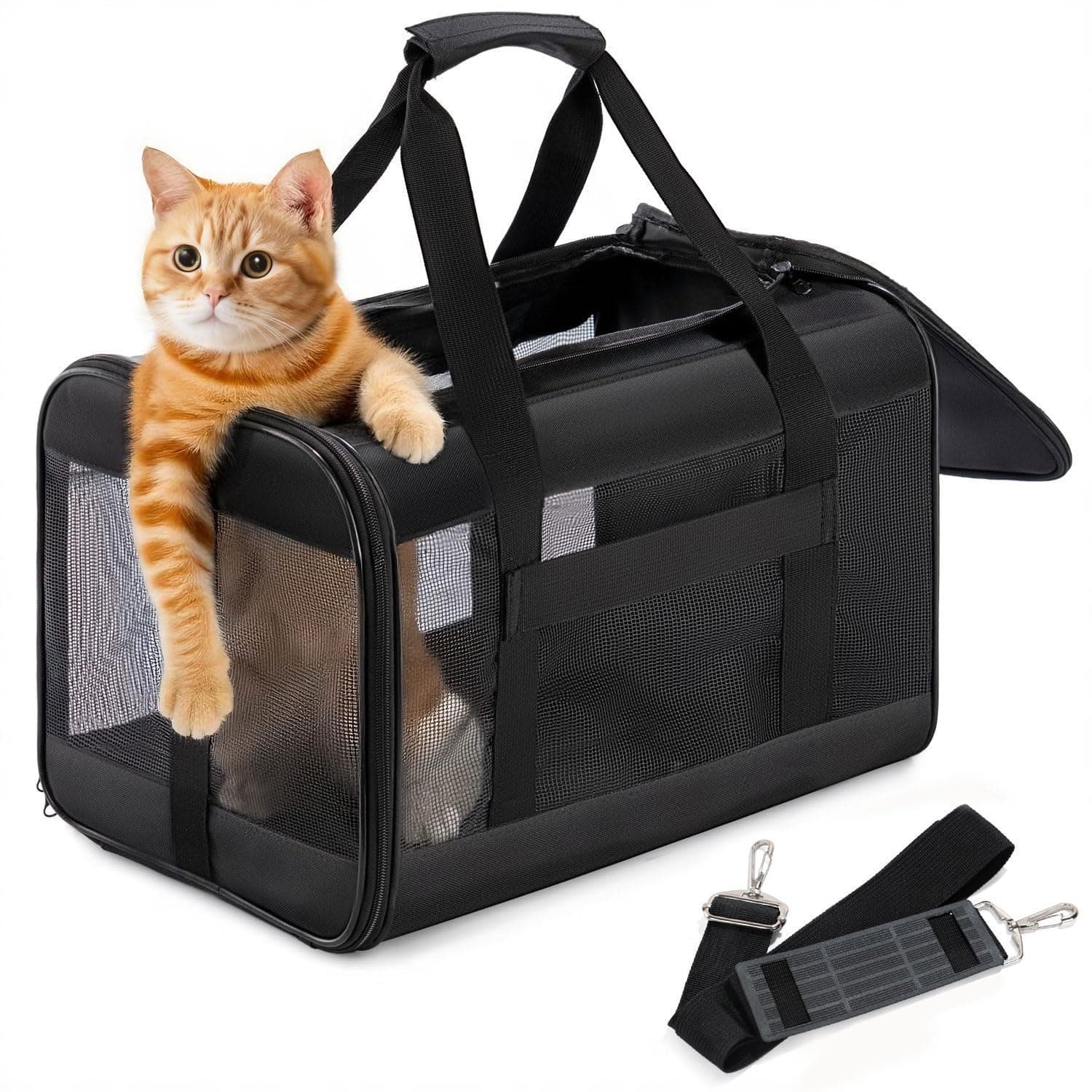 Conlun Katzenboxe Flugzeugtauglich đ±âïž