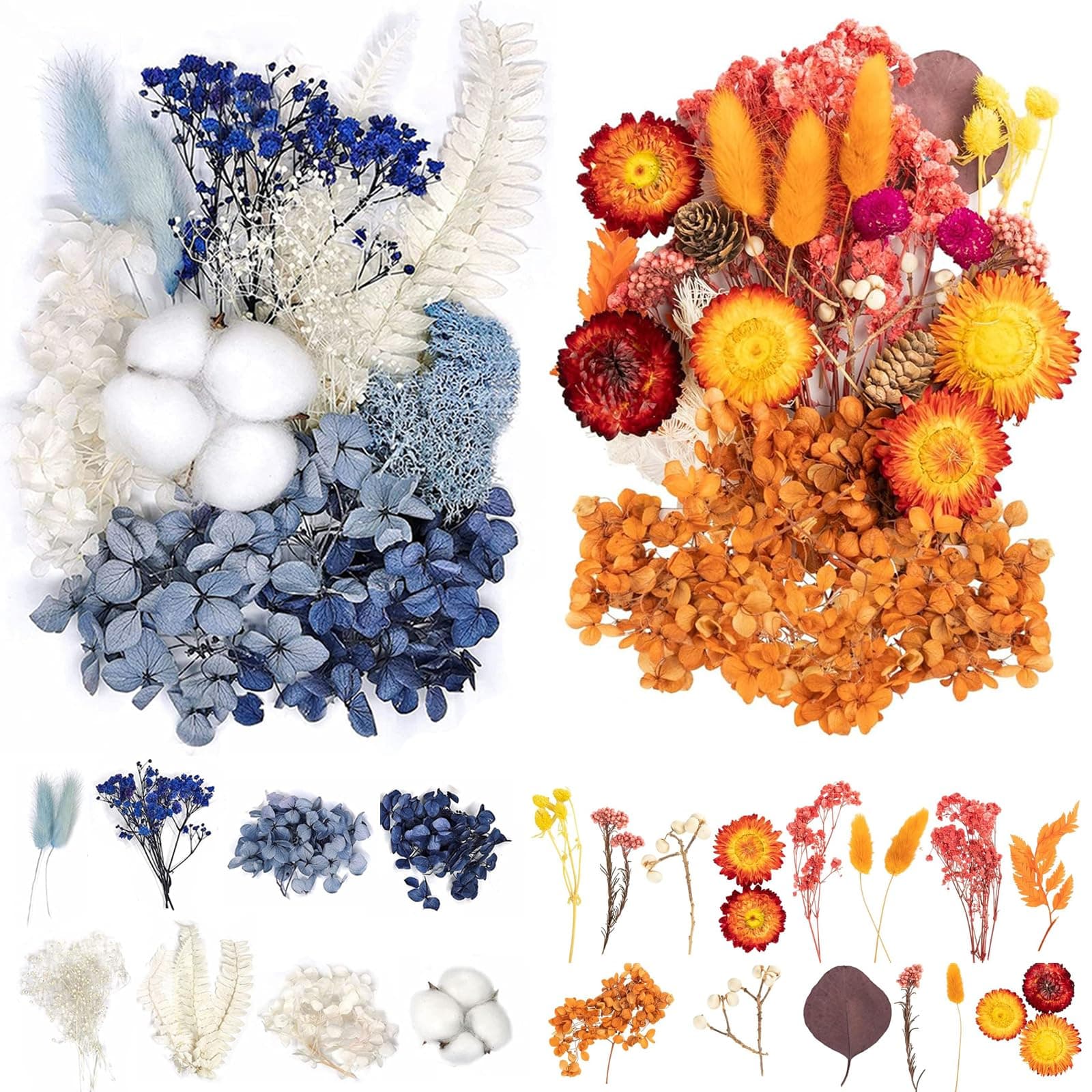 Angebot: Gepresste Blumen - Trockenblumen Basteln 🌸🎨