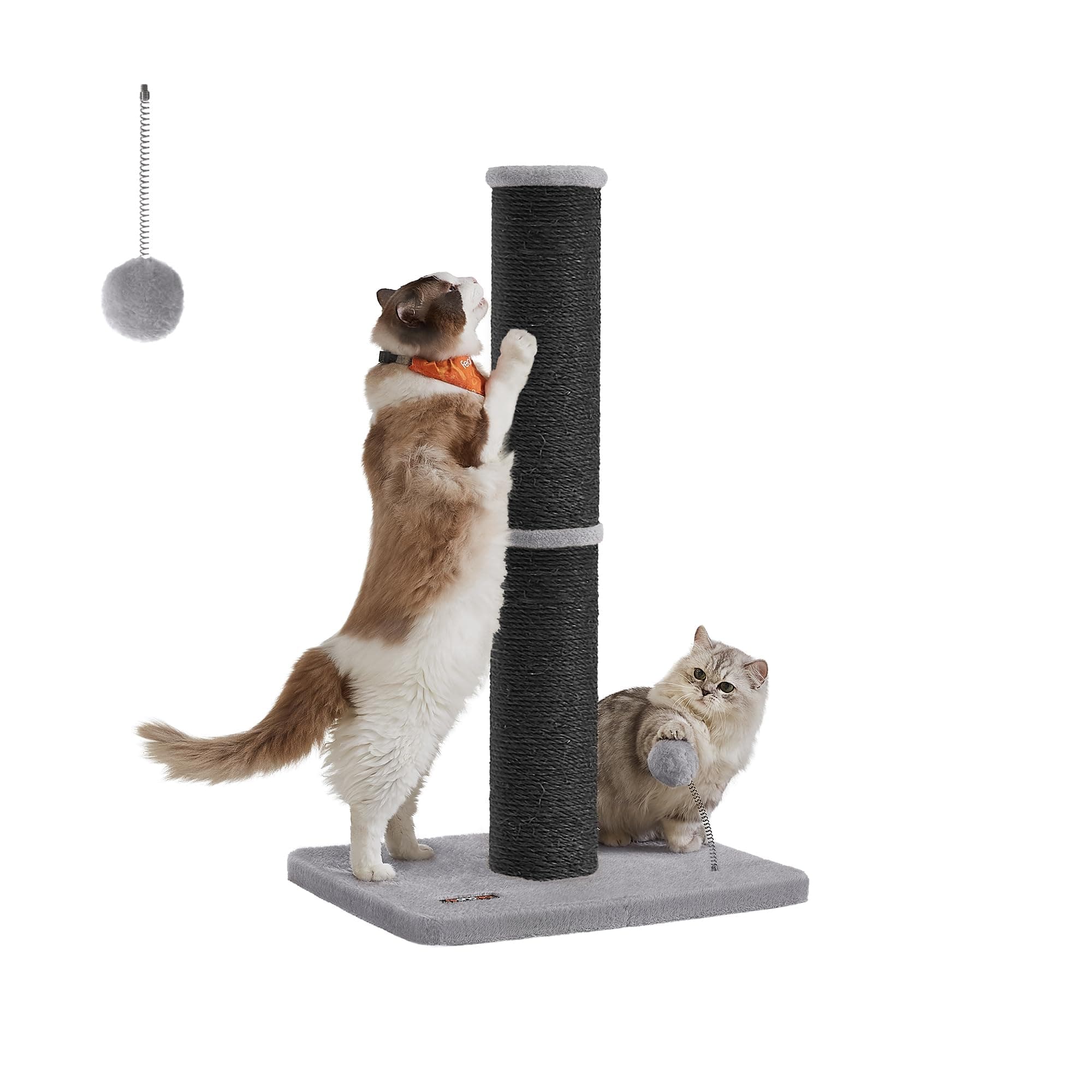Feandrea Kratzbaum, 85 cm hoch, Kratzsäule XL, 13 cm Dicker Stamm, Katzenbaum, Kratzstamm für mittelgroße und große Katzen, Sisalstamm, mit Plüschball und Glocke, tintenschwarz PCA041B01 XL (13 cm Dia.) tintenschwarz