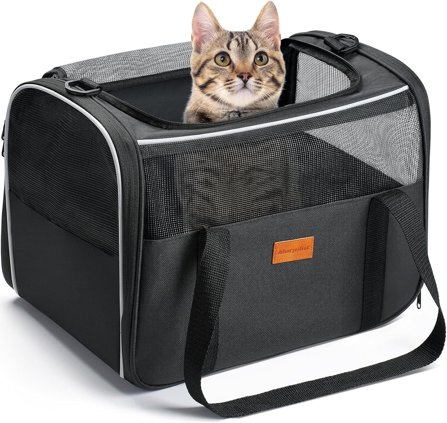 Morpilot Katzentransportbox für Katzen und Welpen bis 5kg, Katzenbox Hundetasche mit Sicherheit Reißverschlüsse, Transportbox Katze Hunde für Der Gang zum Tierarzt Auto Fugzeug 40L x 26B x 28H cm Dunkelgrau Norm