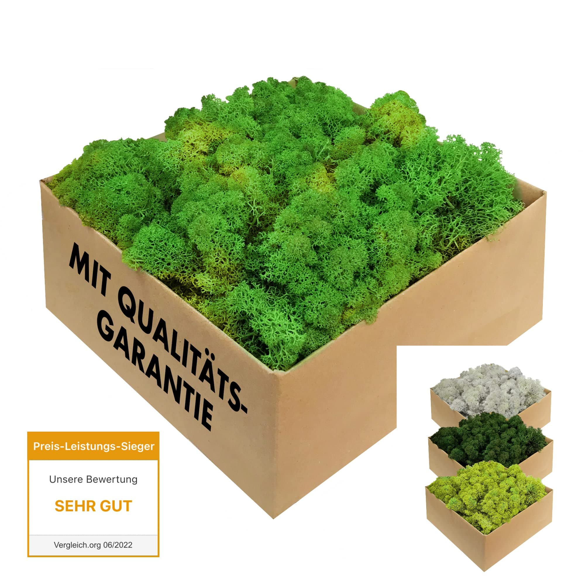 Islandmoos - echtes konserviertes Moos in 200g/500g/1kg/4kg für Moosbilder, als Deko oder zum Basteln (laubgrün, 1kg) Laubgrün 1.0 Kilogramm