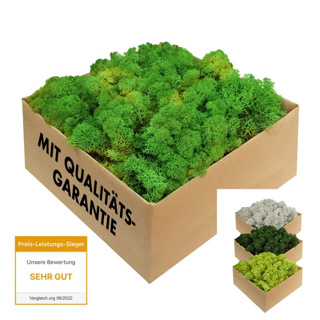 Islandmoos - echtes konserviertes Moos in 200g/500g/1kg/4kg für Moosbilder, als Deko oder zum Basteln (laubgrün, 1kg) Laubgrün 1.0 Kilogramm