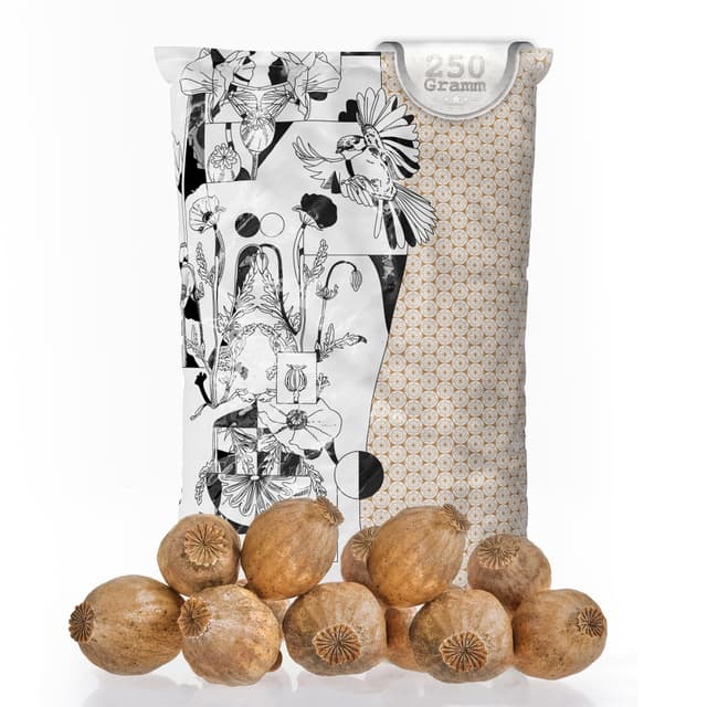 MyPoppies - Mohnkapseln, Poppy Pods | Klein & ohne Stiel | Getrocknet | Bastelzubehör & Deko (Große Mohnkapseln, 250g) Große Mohnkapseln 250g