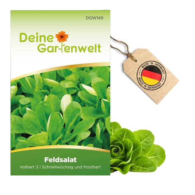 Feldsalat Volhart 3 Samen - Valerianella locusta - Salatsamen - Gemüsesamen - Saatgut für 300 Pflanzen