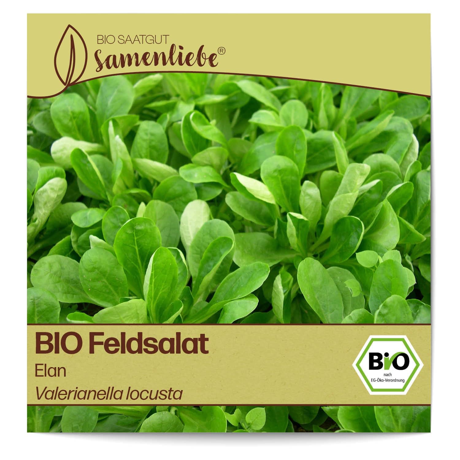 Samenliebe BIO Feldsalat Samen alte Sorte Elan nussiger Winterfeldsalat kompakter Salat grün 1,5g samenfestes Gemüse Saatgut für Gewächshaus Freiland und Balkon BIO Gemüsesamen winterhart