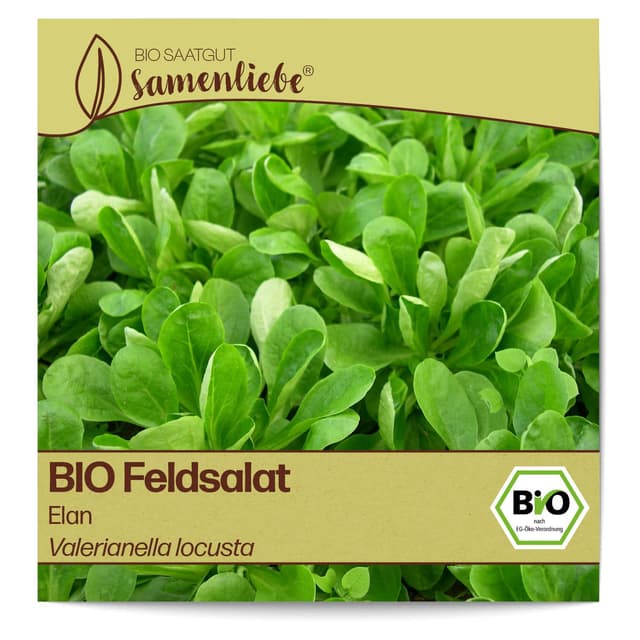 Samenliebe BIO Feldsalat Samen alte Sorte Elan nussiger Winterfeldsalat kompakter Salat grün 1,5g samenfestes Gemüse Saatgut für Gewächshaus Freiland und Balkon BIO Gemüsesamen winterhart