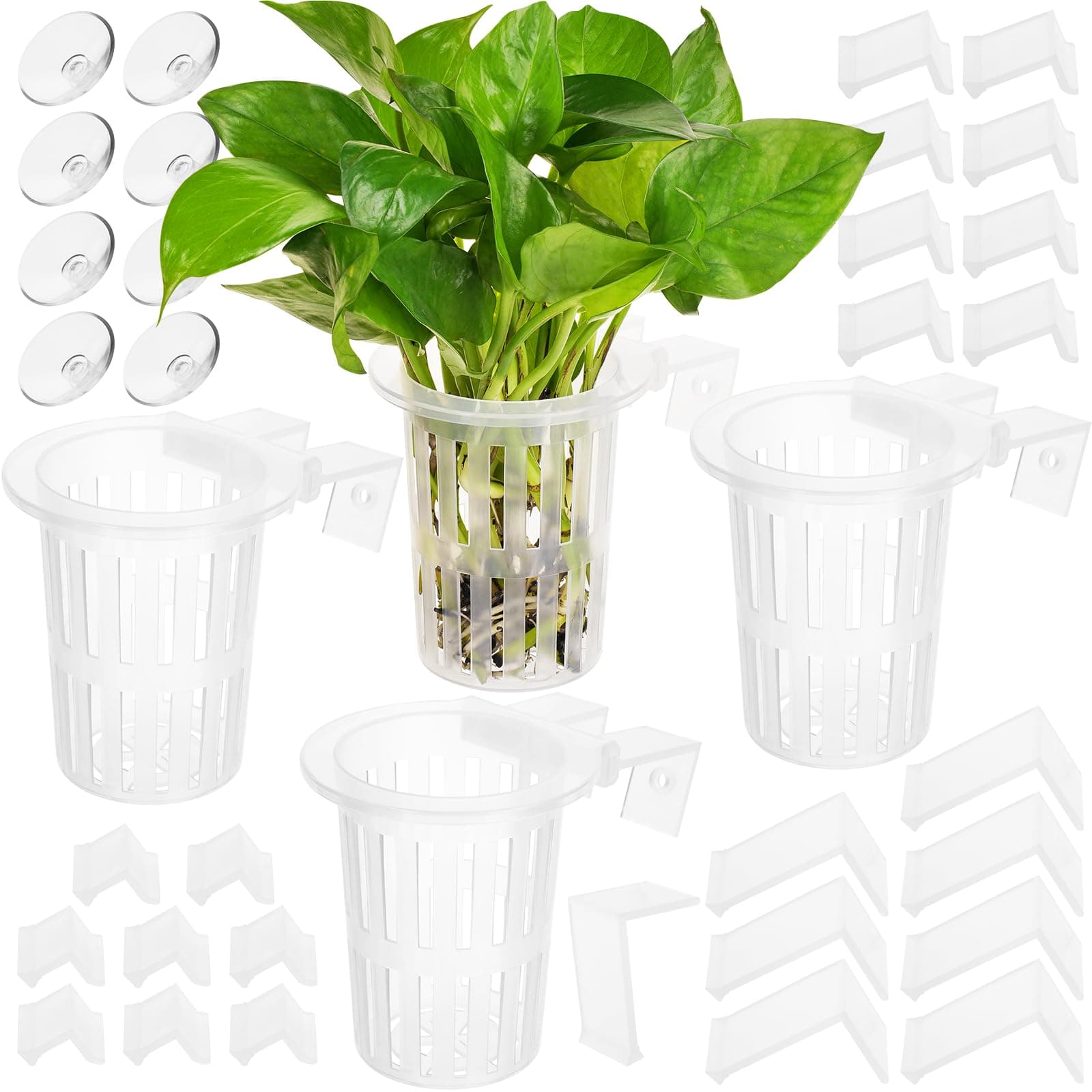 Borlech 2025 Neu Verbessert Aquarium-Pflanzenhalter mit Haken und Saugnäpfen für Aquarium, Aquaponische Pflanzenzucht und Aquascape Zubehör Dekorationen (4 Stück) Transparent Transparent, 4 Stück